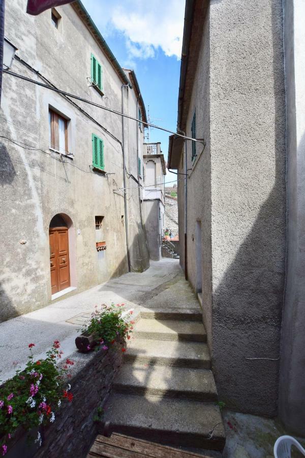 Villa Luciano E Norma House Il Rustico à Gerfalco Extérieur photo